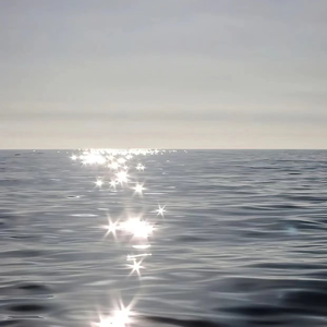 艳丽人妖玩人妖
